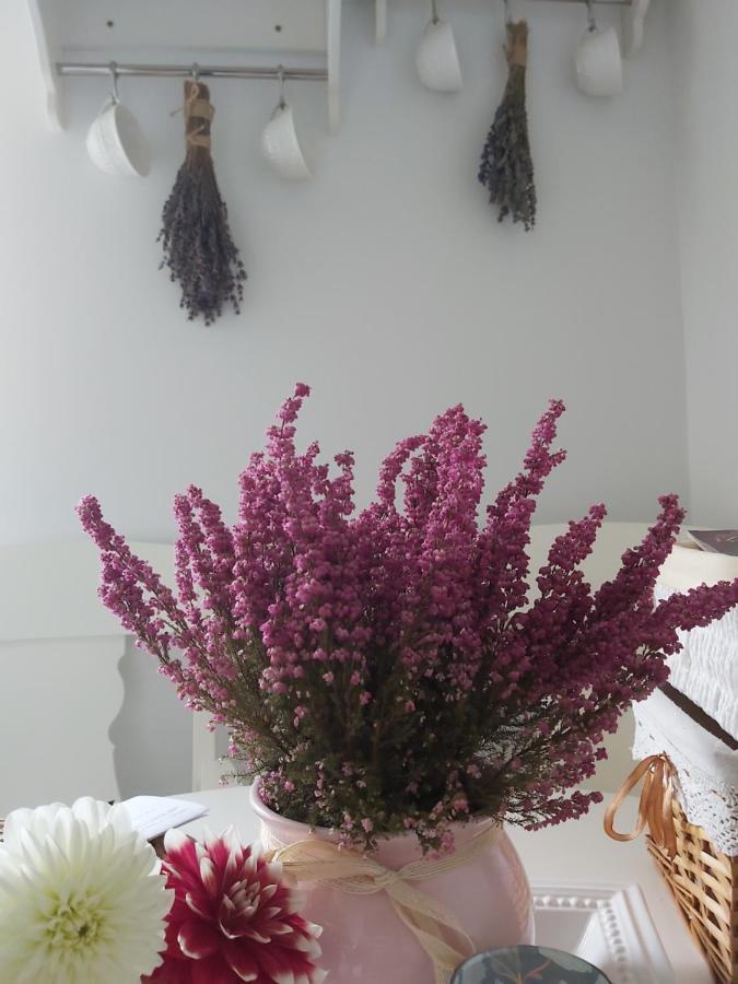 Lawendowe Love Rynek Rzeszow Close Center Apartment Екстериор снимка